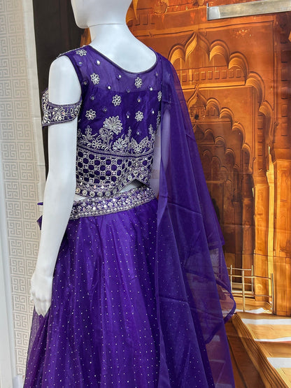 Purple lehenga Choli set