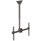 IN STOCK! StarTech.com Ceiling TV Mount - 1.8' to 3' Short Pole - 32 to 75" TVs with a weight capacity of up to 110 lb. FPCEILPTBSP