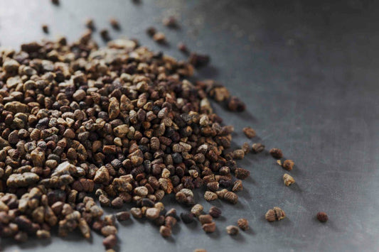 Cardamom Seed