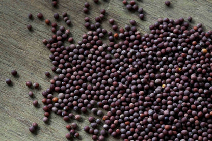 Brown Mustard Seed