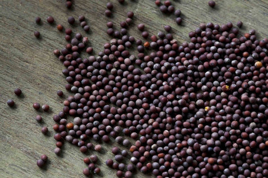 Brown Mustard Seed
