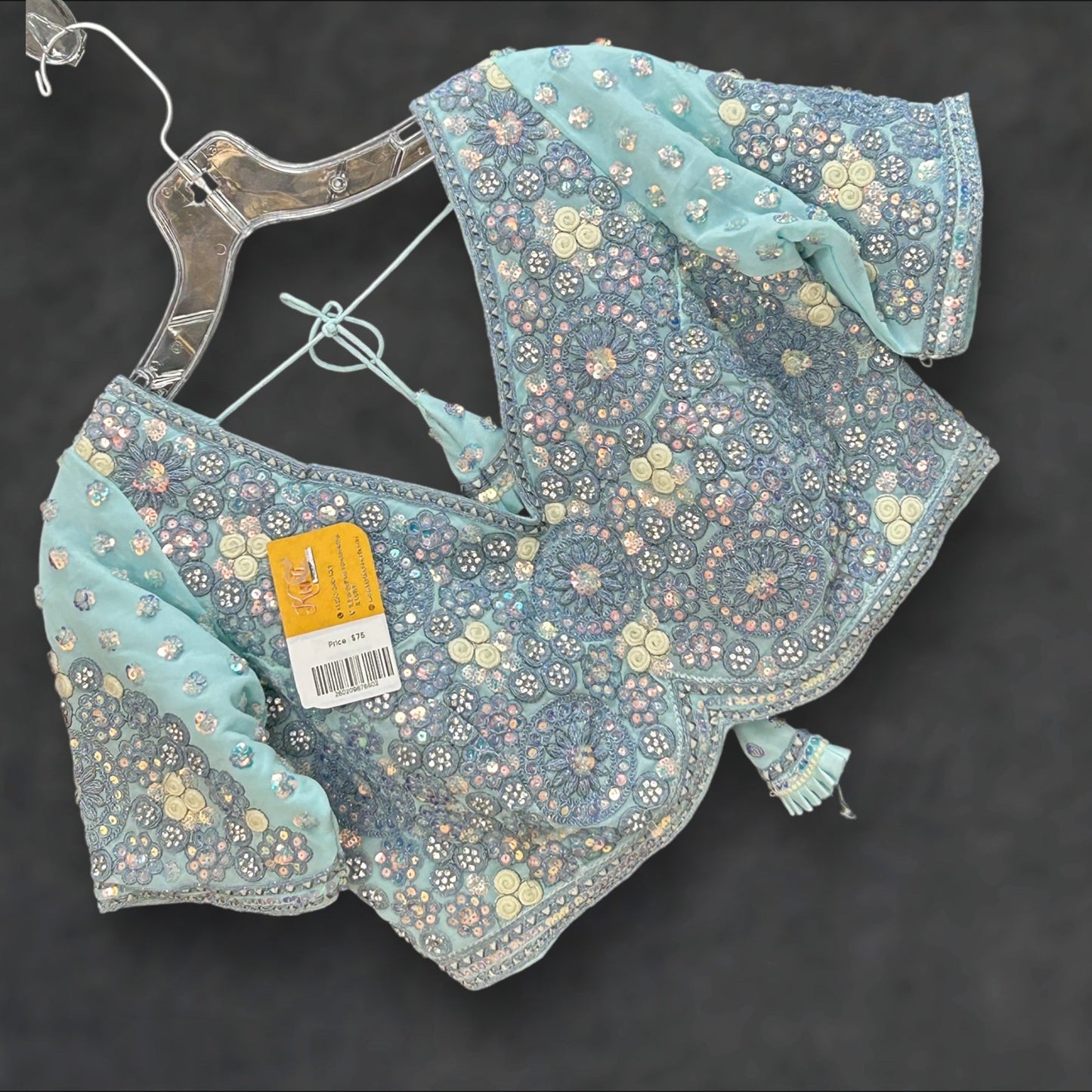 Sky blue blouse | heavy embroidery work