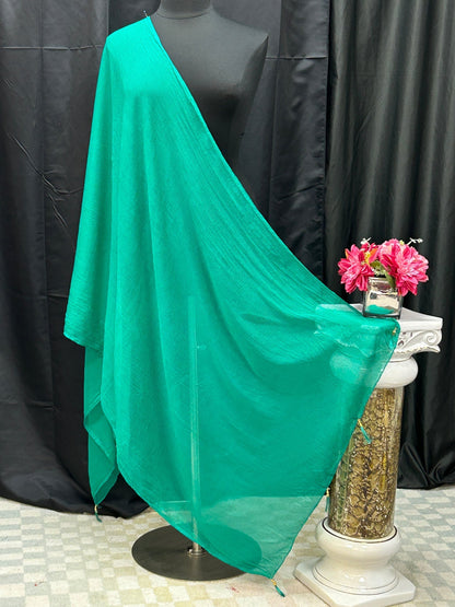 Chiffon green dupatta