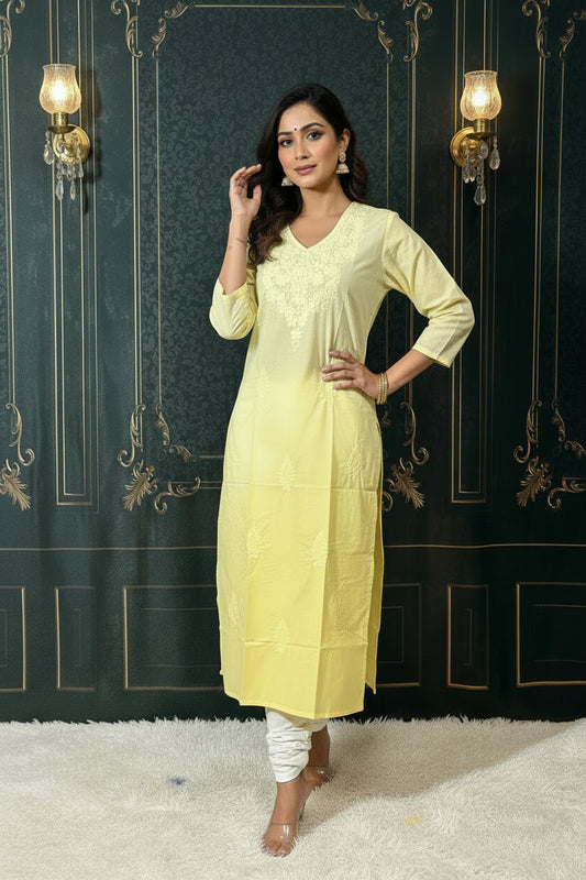 Cotton chikankari kurti / ombré color pattern